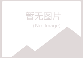 安顺夏岚化学有限公司